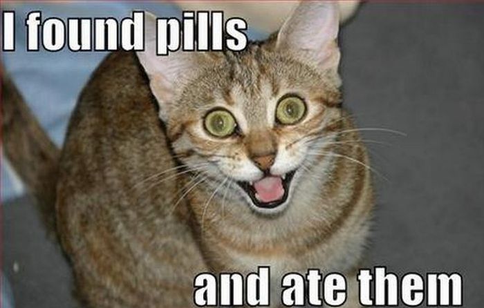 found-pills-ate-pills-hahaha.jpg