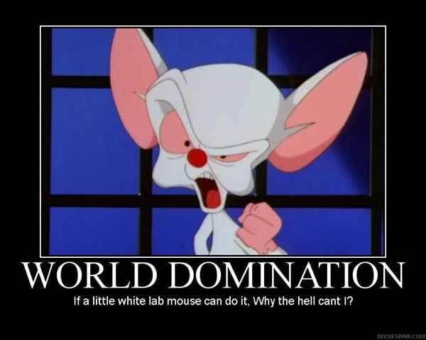 The World Domination 104