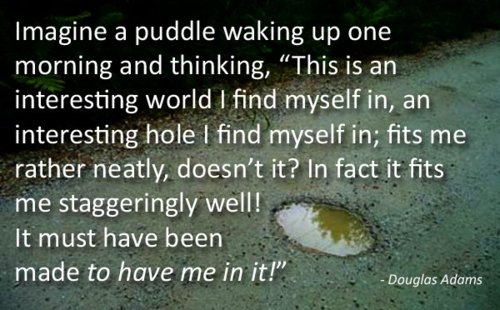 Douglas Adams on puddles
