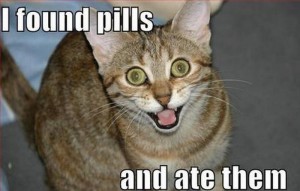 Very happy cat ate some pills