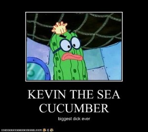 Kevin the sea cucumber is a dick