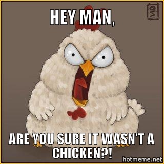 Hey man, are you sure it wasn't a chicken?