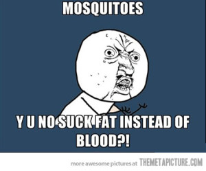 Hey mosquito suck fat, not blood