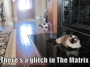 Glitch in the Matrix Cats