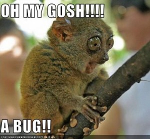 Oh My Gosh Lemur Bug