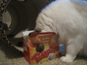 Where are the Cherry Timbits?