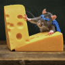 Wererat eating cheese