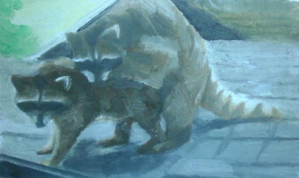 Just some raccoons having sex Just some raccoons having sex