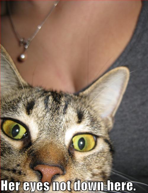 Higgs Boson Found in Woman’s Bosom