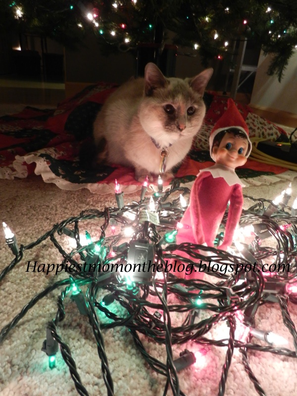 Elves are 8 inches tall, don’t ask&nbsp;them!